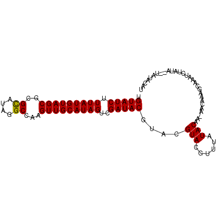 secondary structure