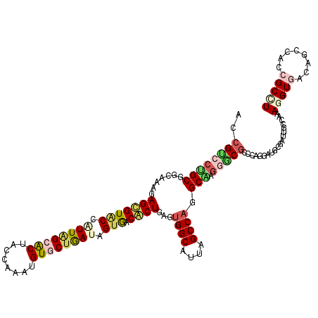 secondary structure
