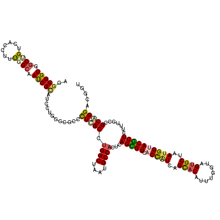 secondary structure