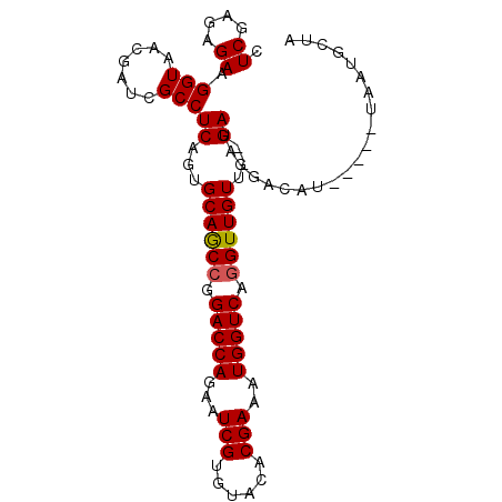 secondary structure