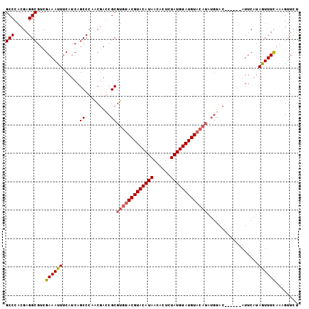 dotplot
