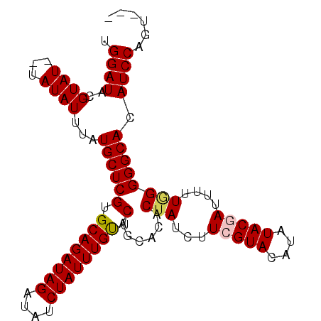 secondary structure