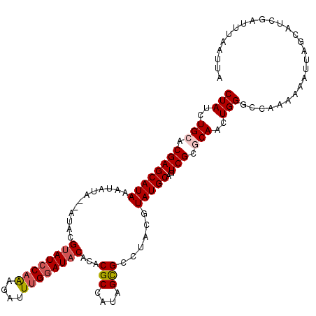secondary structure
