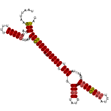 secondary structure