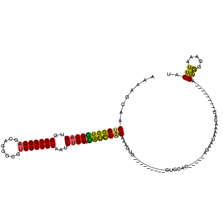 secondary structure