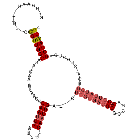 secondary structure