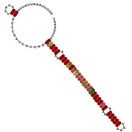 secondary structure