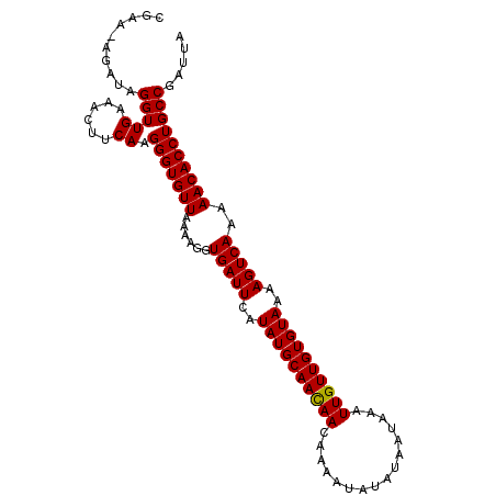 secondary structure