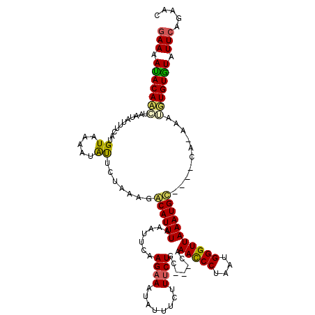 secondary structure