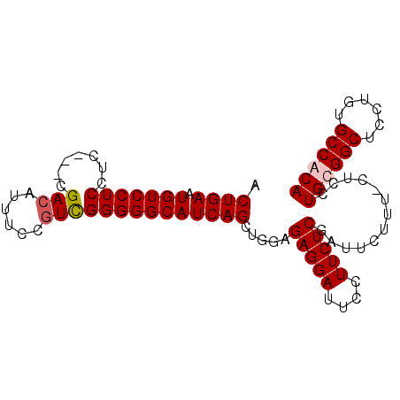 secondary structure