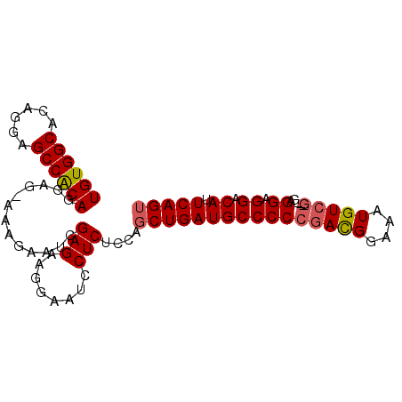 secondary structure