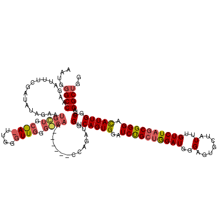 secondary structure