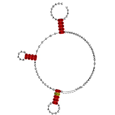 secondary structure
