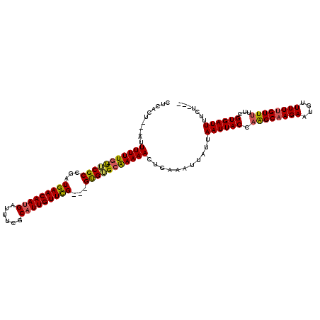 secondary structure