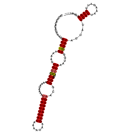 secondary structure