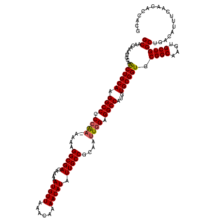 secondary structure