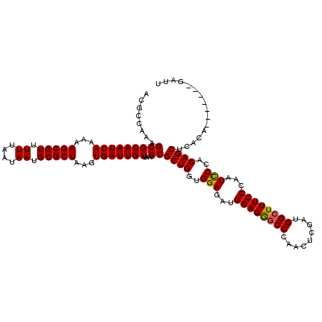 secondary structure