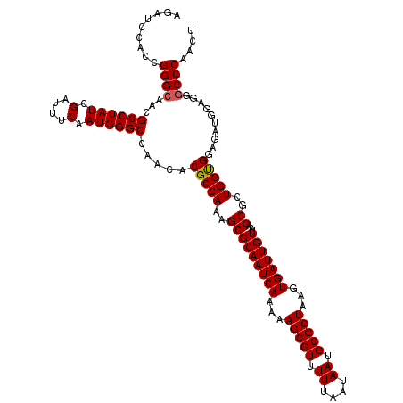 secondary structure