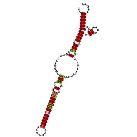 secondary structure
