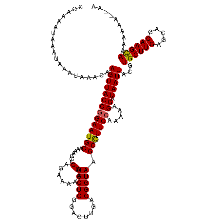 secondary structure