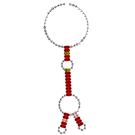 secondary structure