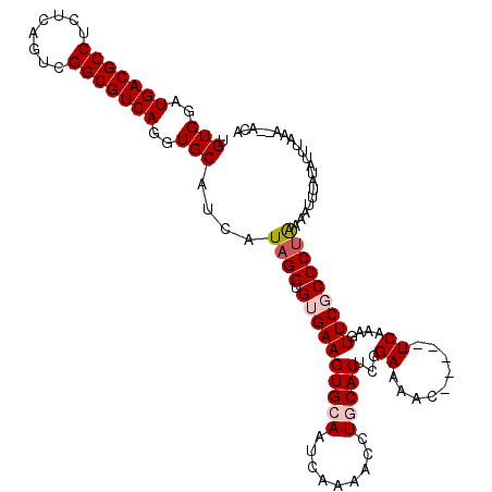 secondary structure