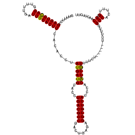 secondary structure