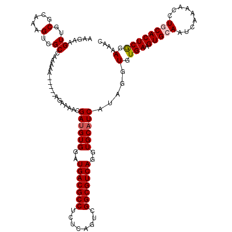 secondary structure