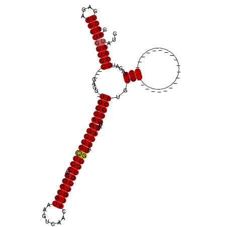 secondary structure