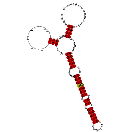 secondary structure