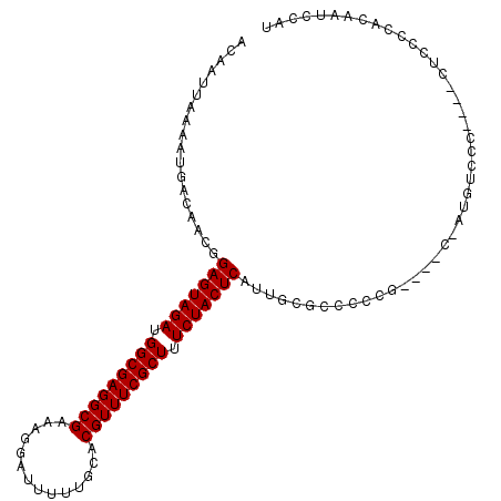 secondary structure