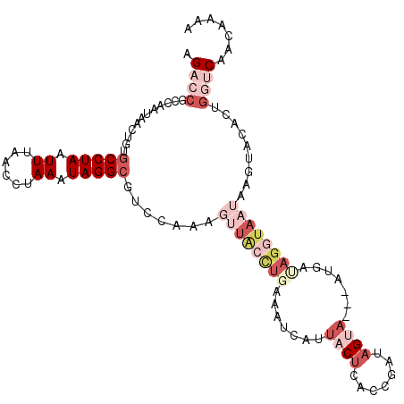 secondary structure