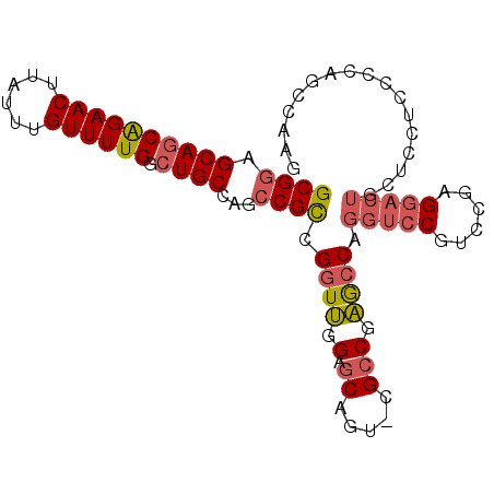 secondary structure