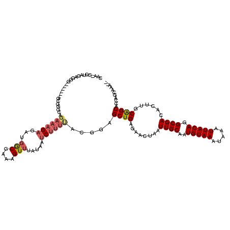 secondary structure