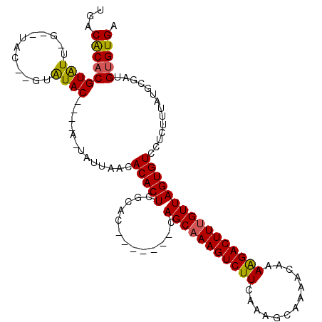 secondary structure