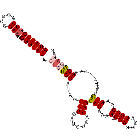 secondary structure