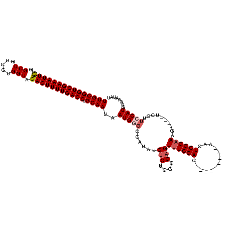 secondary structure