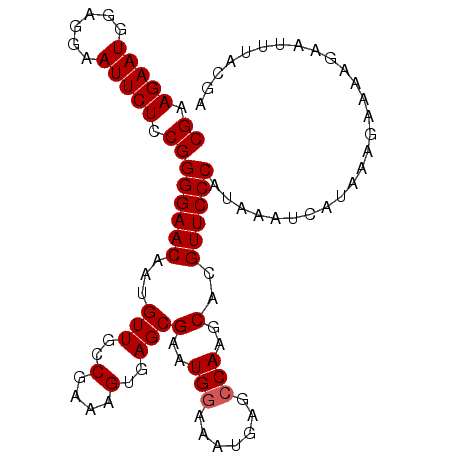 secondary structure
