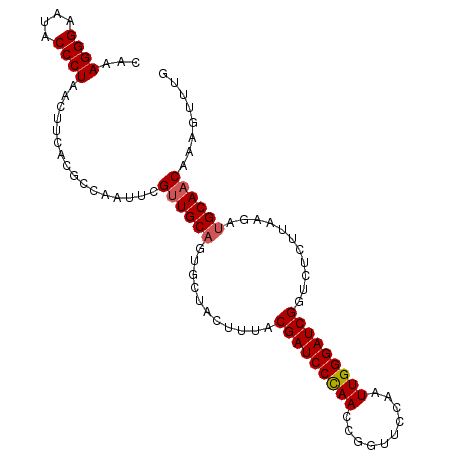 secondary structure