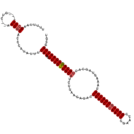 secondary structure