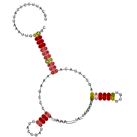 secondary structure