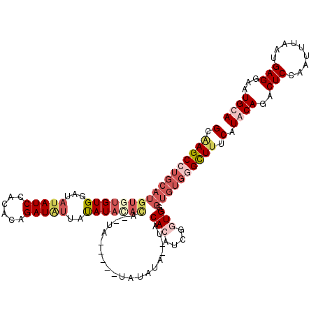 secondary structure