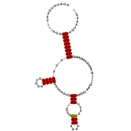 secondary structure