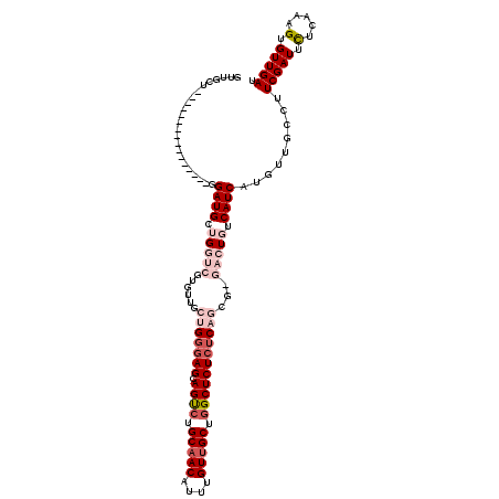 secondary structure