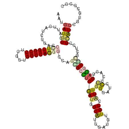 secondary structure