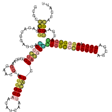 secondary structure