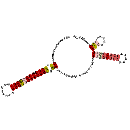 secondary structure