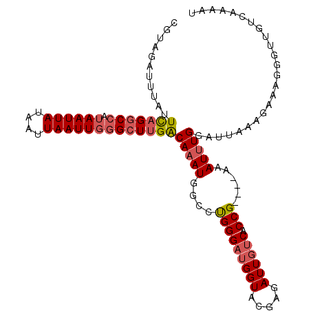 secondary structure