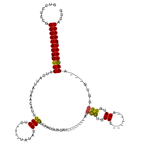 secondary structure
