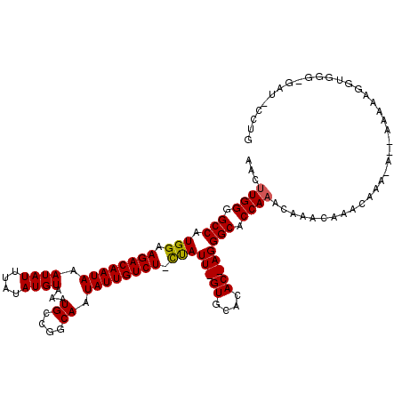 secondary structure
